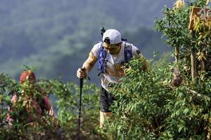 BIB: 
                            <button type="button" onclick="openModal(24765244)" class="btn btn-primary btn-sm float-right btn-popup" data-toggle="modal" data-target=".modal-high-quality">
                        <i class="fas fa-shopping-cart"></i> Add to Cart
                    </button>
                                            <button type="button" onclick="isThisMe(24765244, true)" class="btn btn-success btn-sm float-right btn-popup btn-isme hidden" data-toggle="tooltip" data-placement="bottom" title="นี่คือรูปของคุณใช่ไหม คลิกที่นี่เพื่อเอาเข้าอัลบั้ม">
                        <i class="fas fa-plus"></i> Add to album
                    </button>
                    <button type="button" onclick="isThisMe(24765244, false)" class="btn btn-warning btn-sm float-right btn-popup btn-isnotme hidden">
                        <i class="fas fa-ban"></i> Remove from album
                    </button>